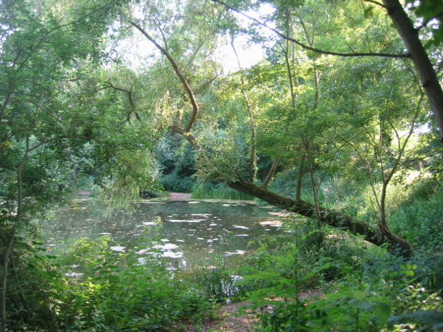 Parc de Stephensfeld