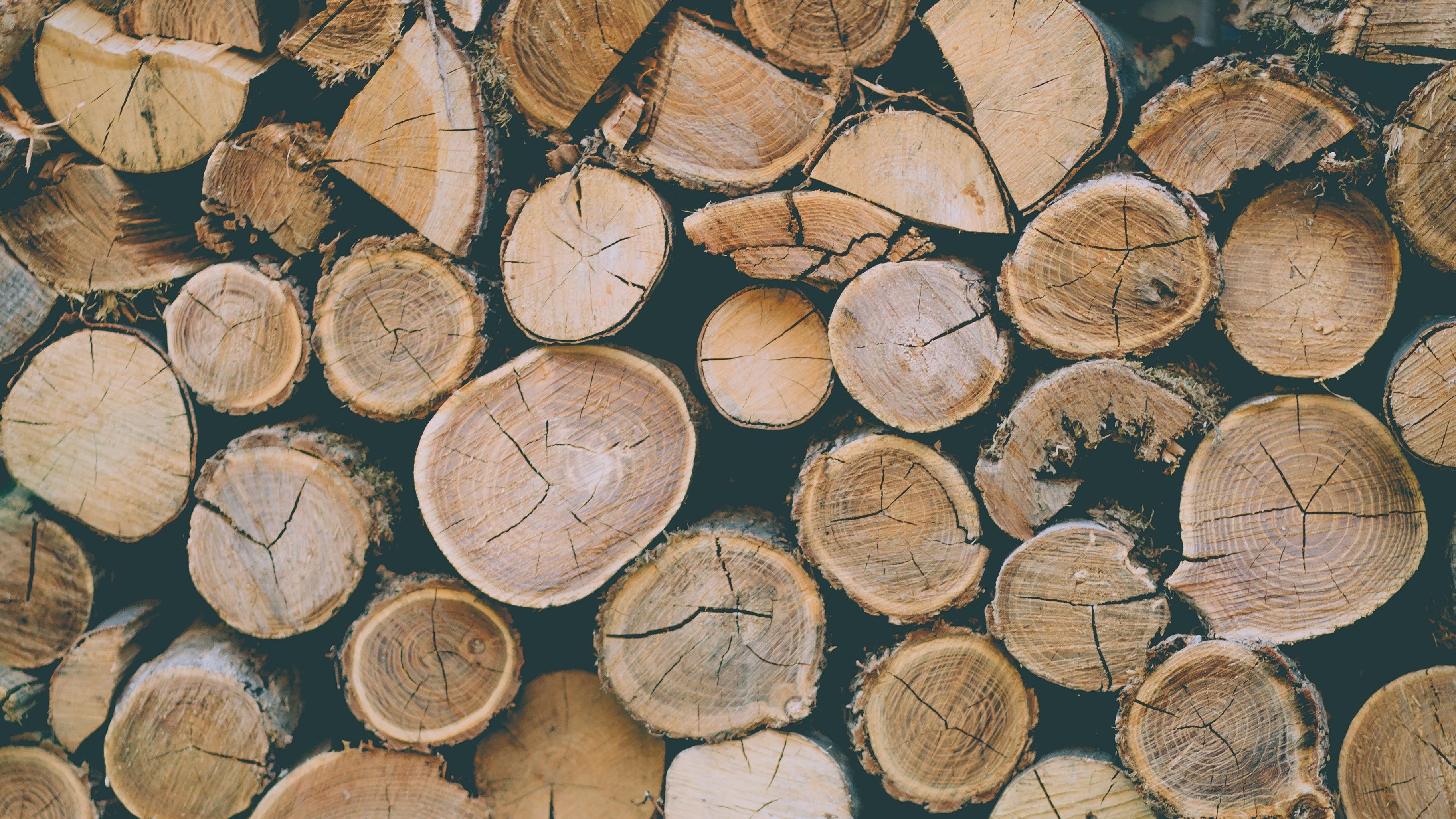 vente de bois à brumath