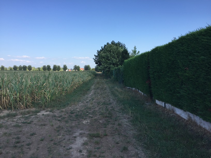 Lutte contre les coulées de boue à Brumath