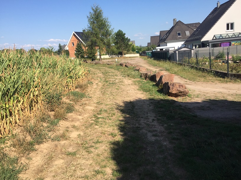 Lutte contre les coulées de boue à Brumath.