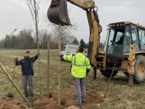 Plantation arbre