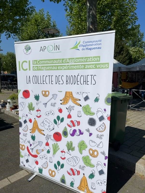 Collecte des biodéchets au marché