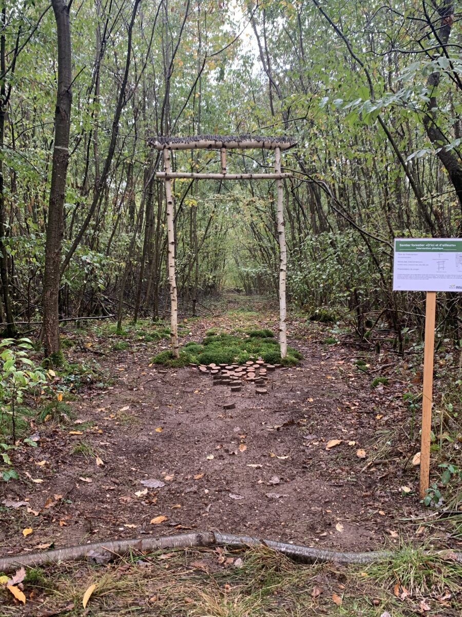 Arche asiatique en bois clair, il dénote parfaitement avec le décor foncé de la forêt