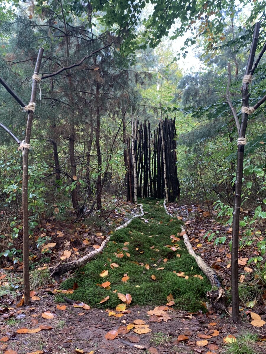 Chemin de mousse et kiosque de bois foncé