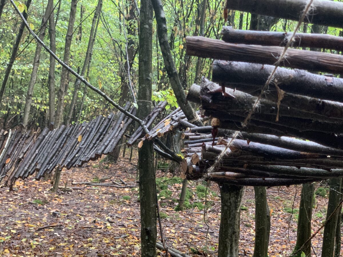 Chemin partant du sol puis aérien en bois