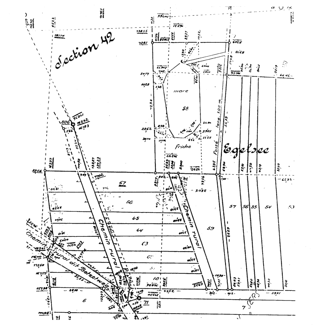 Image d'archive - Parc du Tilleul